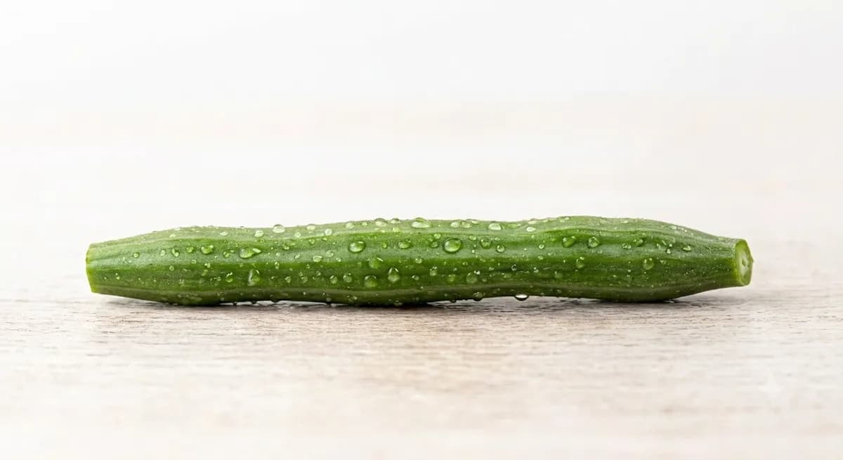 Drumstick